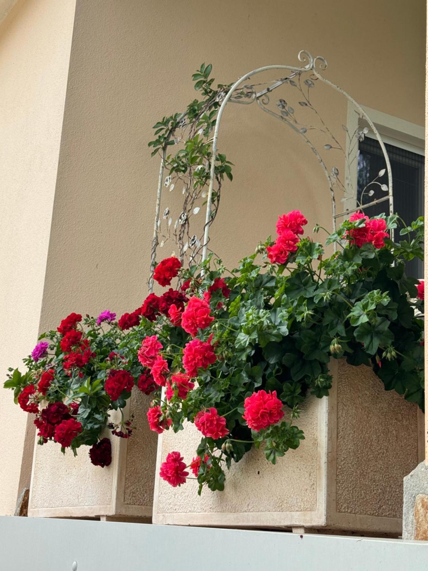 Dei Fiori - Casa * Capoterra