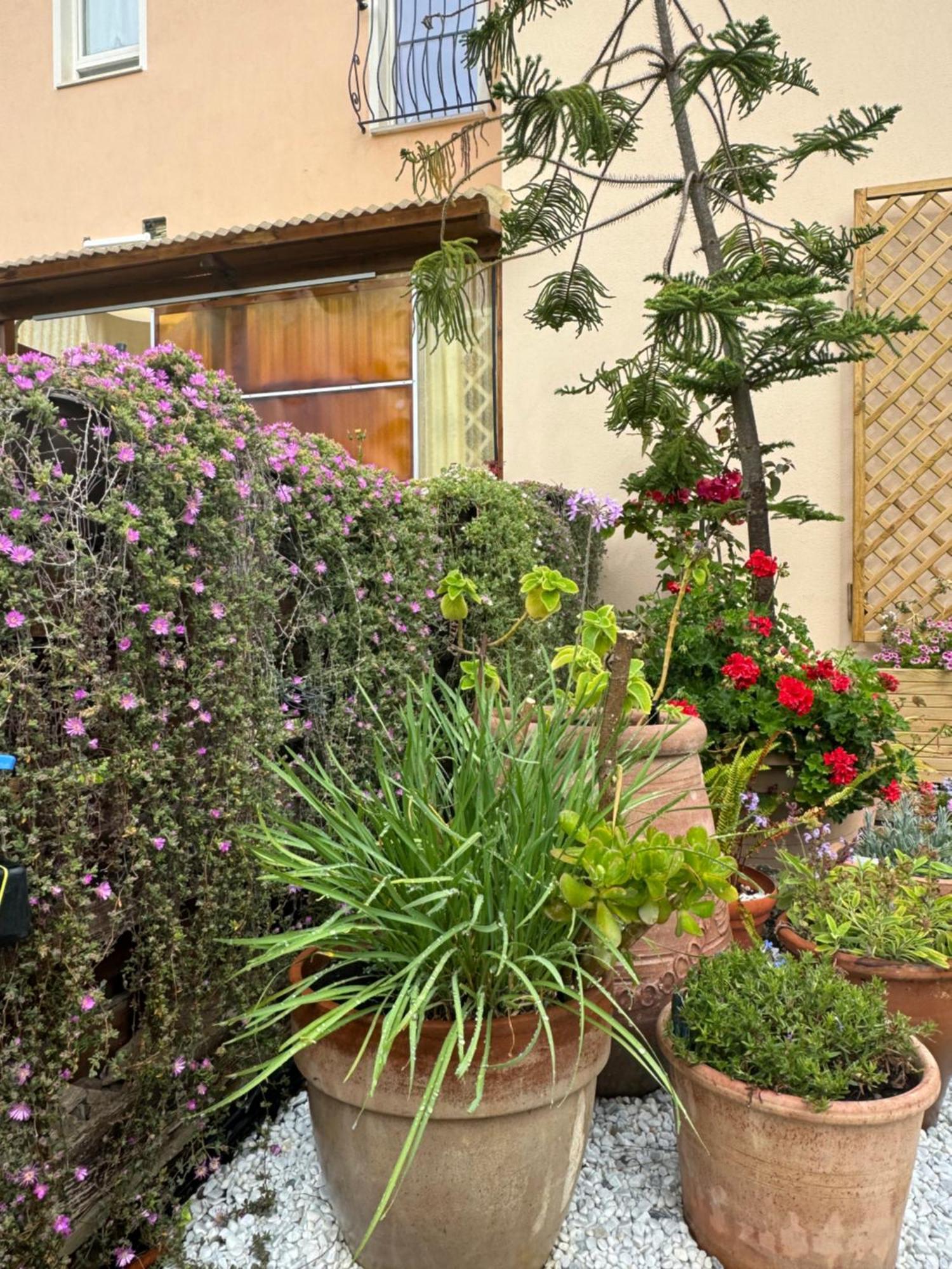 Holiday home Dei Fiori - Casa