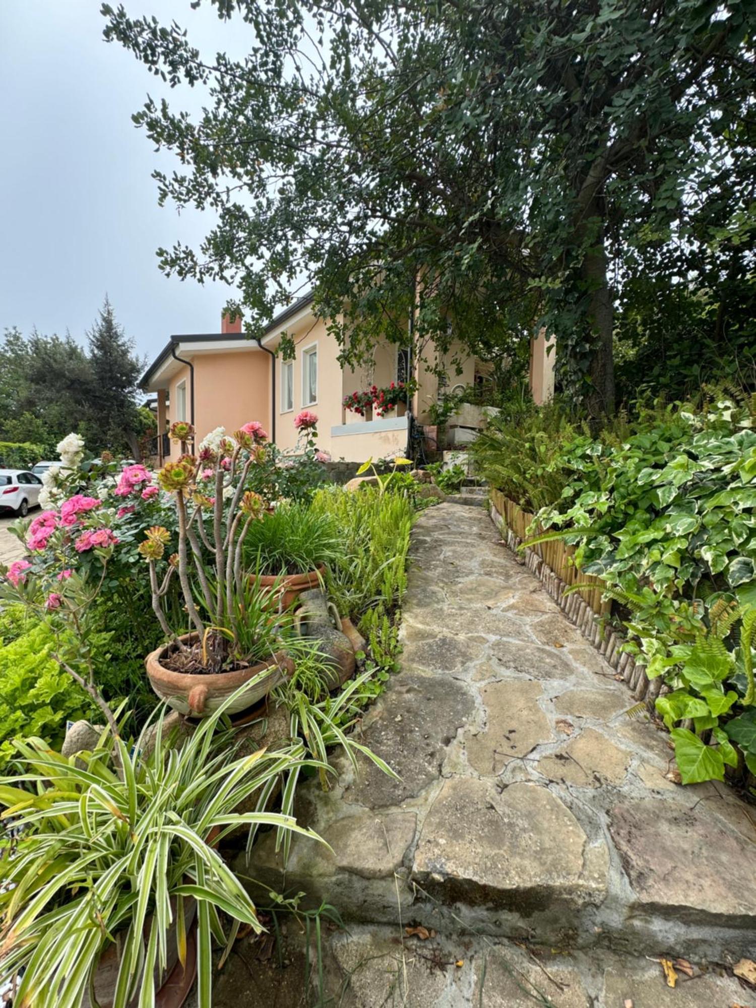Dei Fiori - Casa *