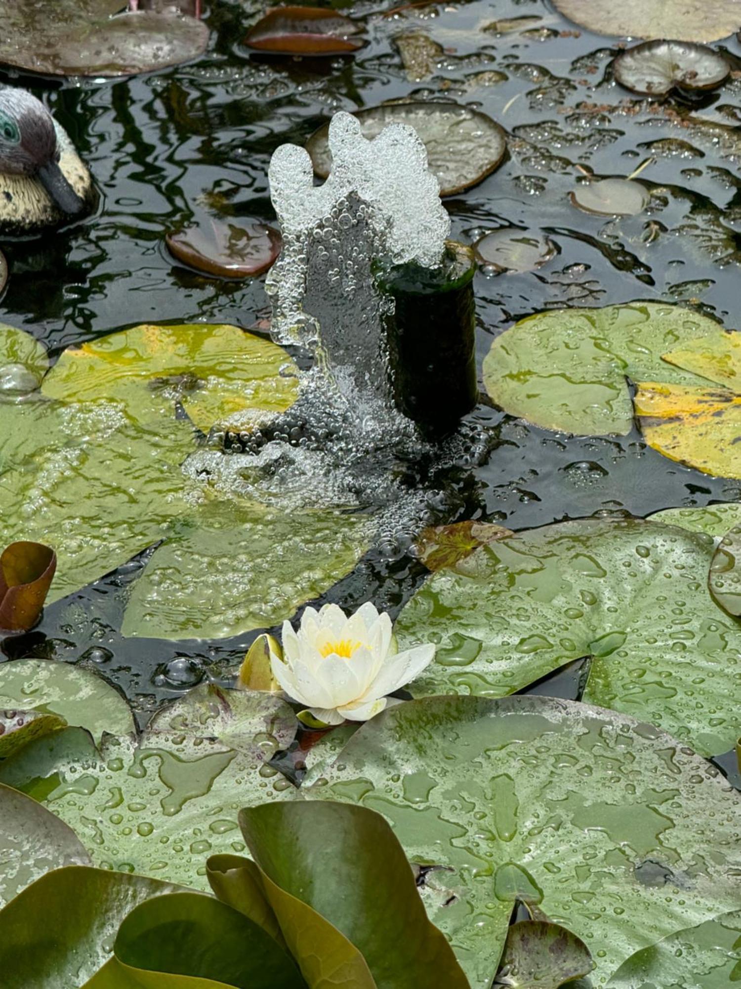 Dei Fiori - Casa * Capoterra